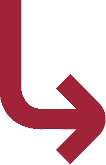 arrow icon